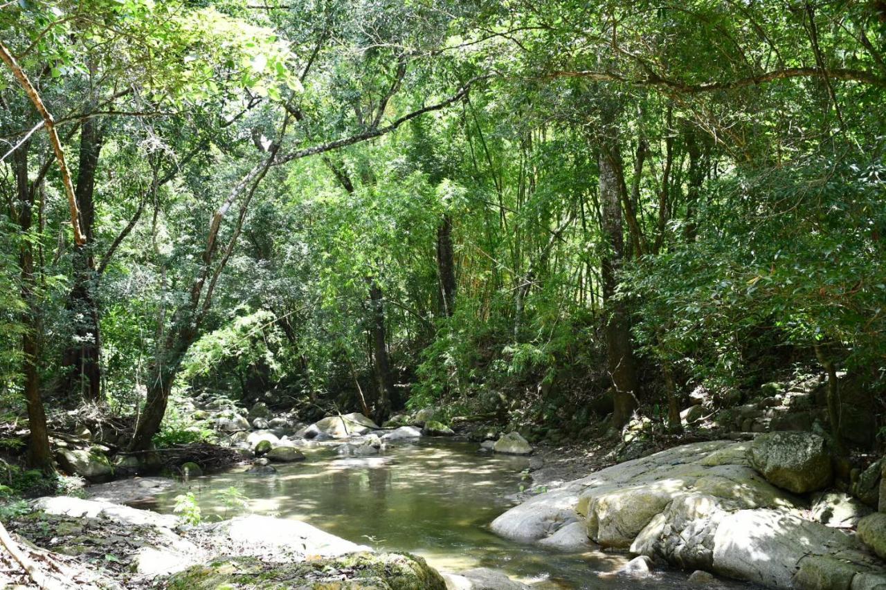 Reserva Biologica Caoba Bonda Exterior foto
